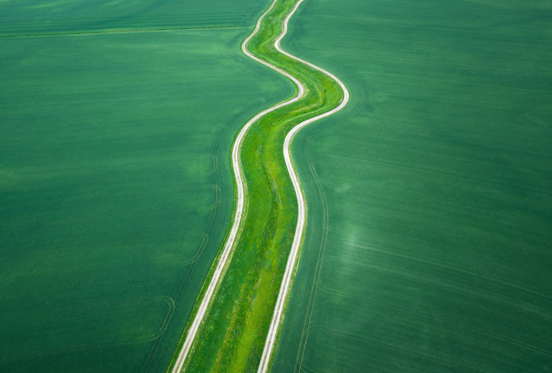 gigkarasek-green
